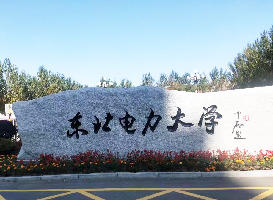 東北電力大學采購南京九幺看片网站的DZ-DSC300C在线看片网站